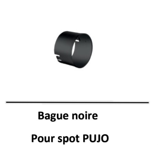 pujo-oggi