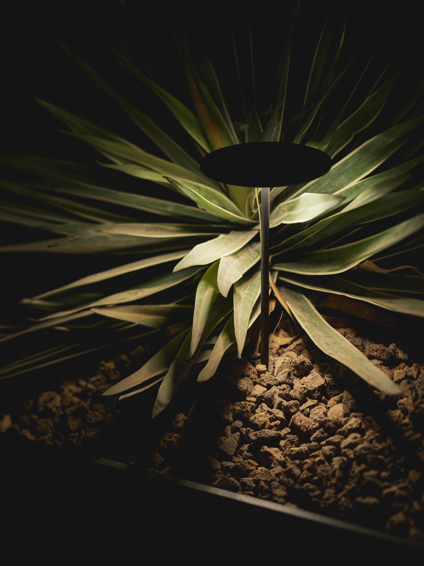 arkoslight-showroom_xpan-022-lw