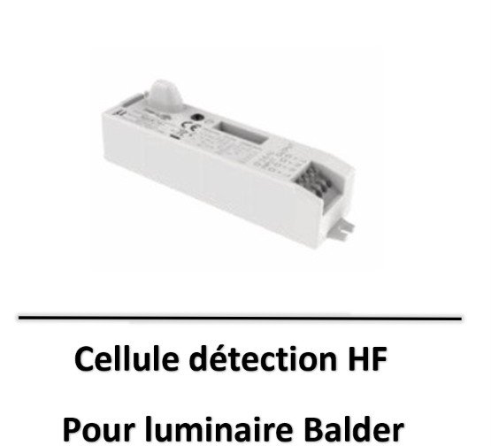 balder-lited