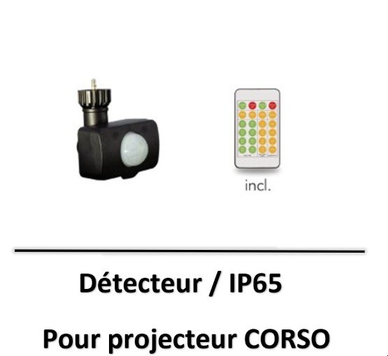 detecteur-corso