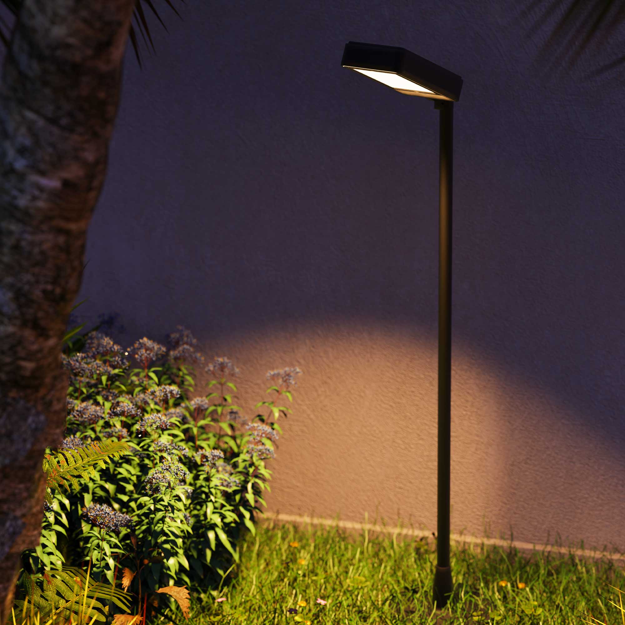 PX-0670-NEG_Ambiente