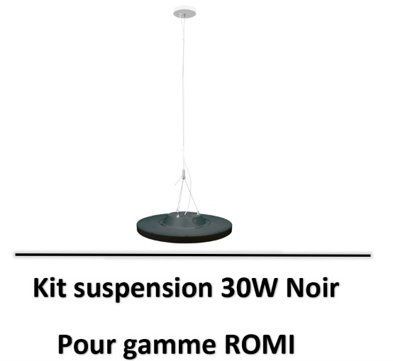 romi-aric