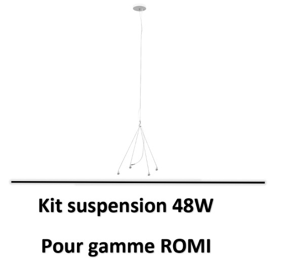 ROMI-aric