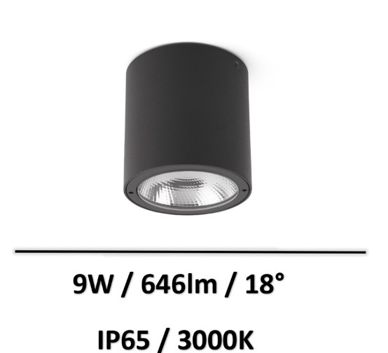 SPOT-saillie-faro