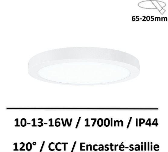 spot-elio-lited