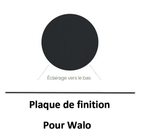 walo-oggi-luce