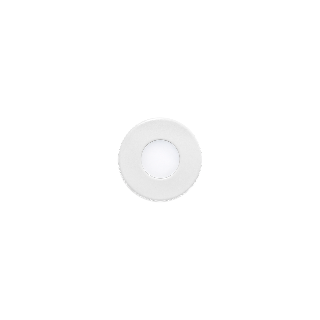 step-02_03-step_xs-wt