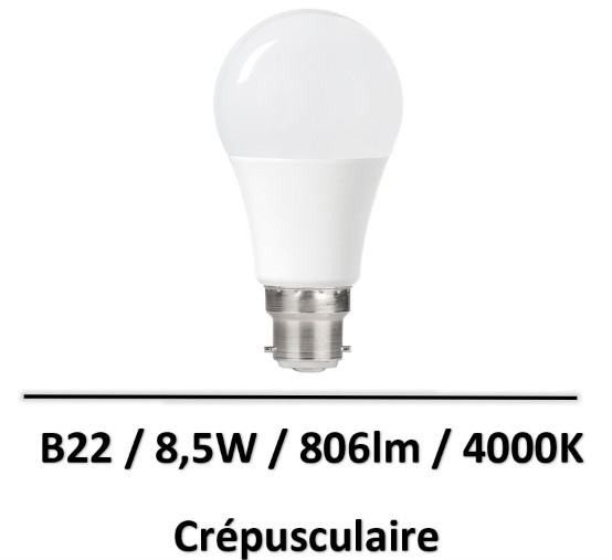 ampoule-crepusculaire-B22