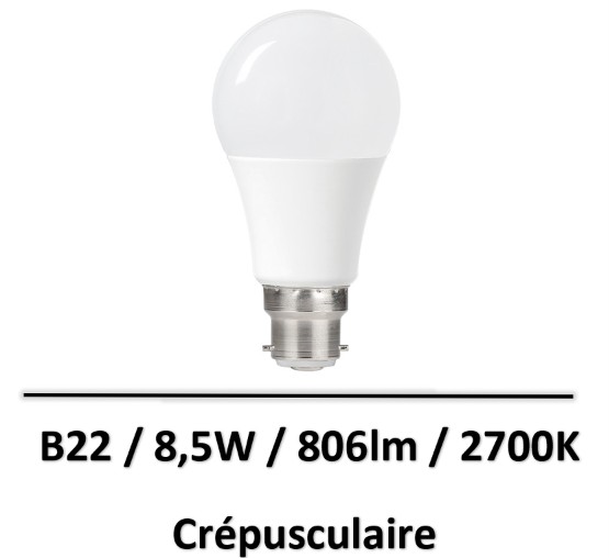 ampoule-crepusculaire-B22