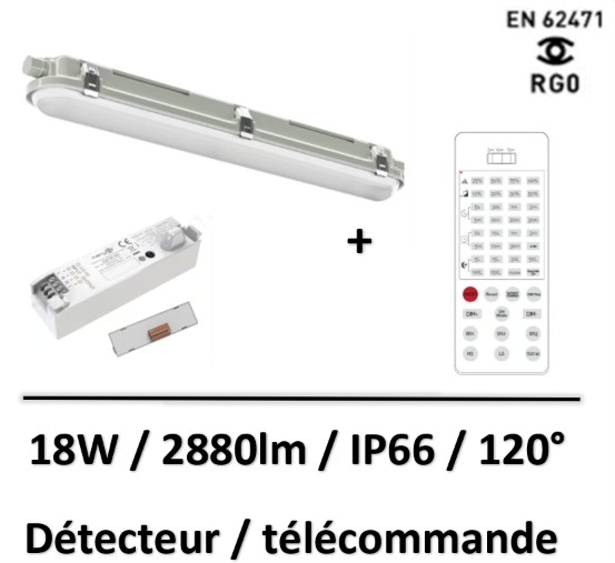 balder-lited
