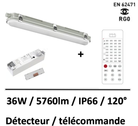balder-lited