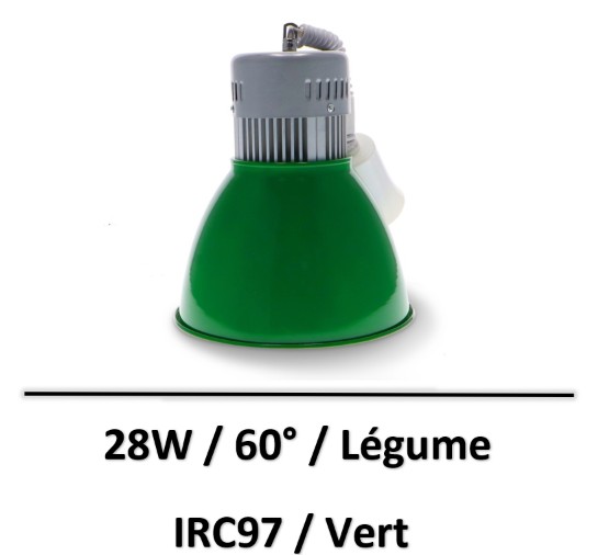 cloche-decorative