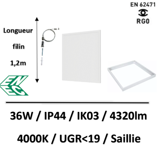 DALLE-LED6SAILLIE