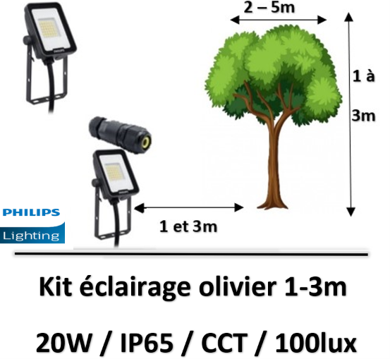 eclairageolivier-philips