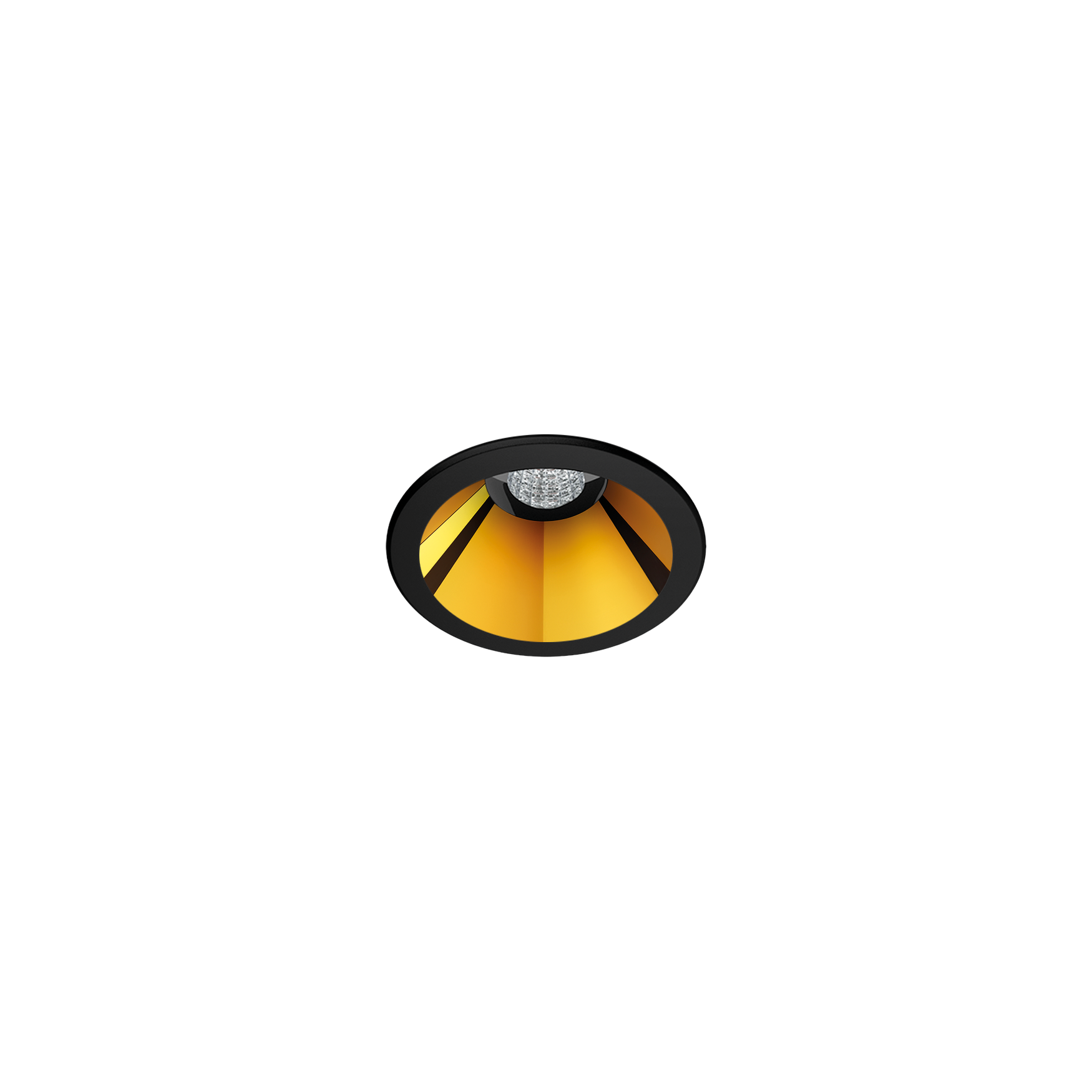 shotlight-001-NMG-lw