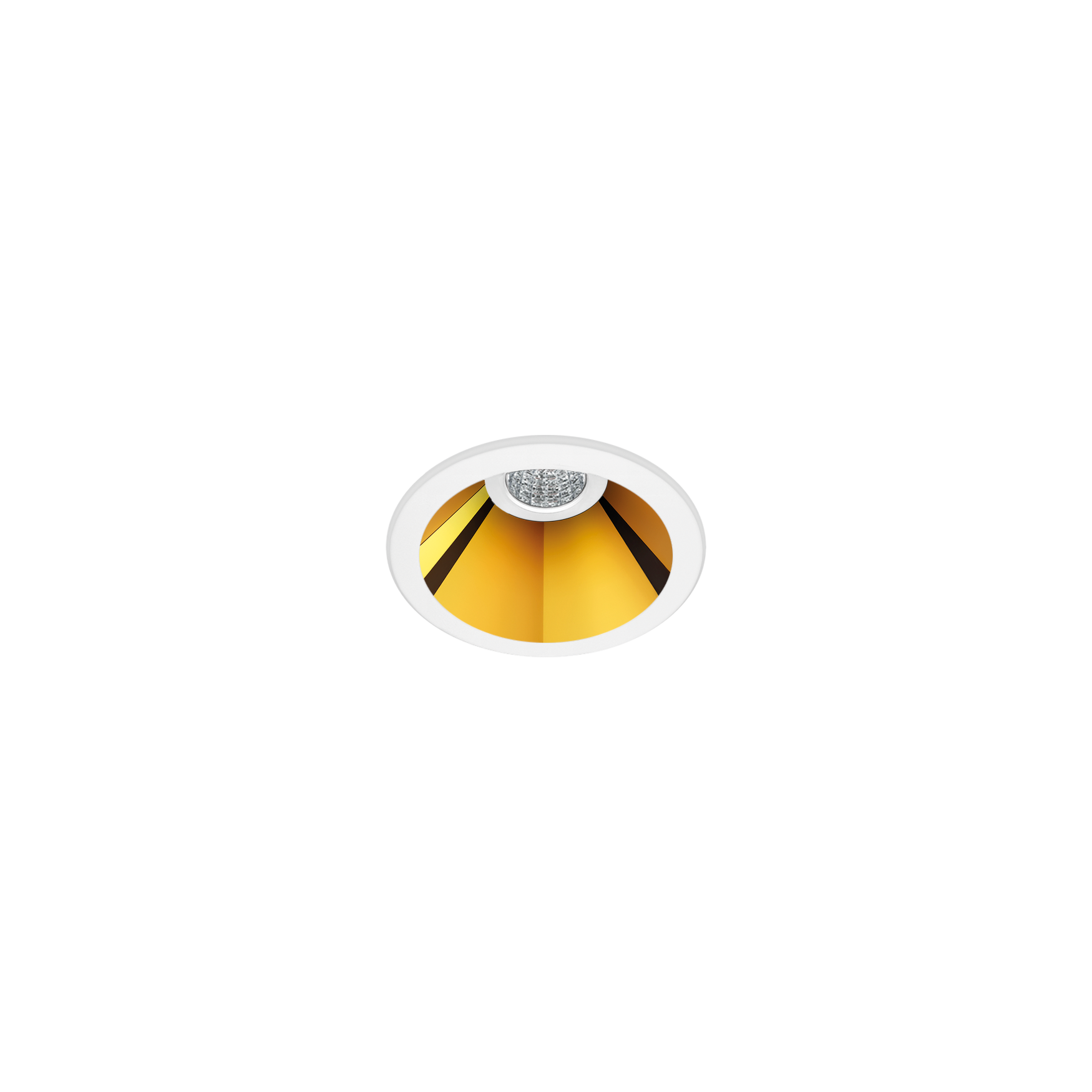 shotlight-001-WMG-lw