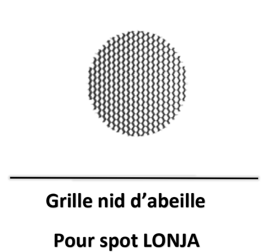 lonja-beneito