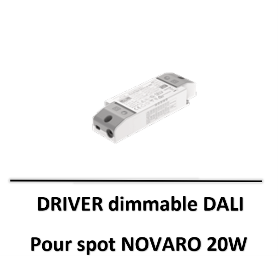 DRIVER6DALI
