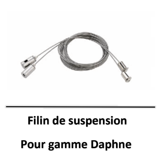 daphne-electra