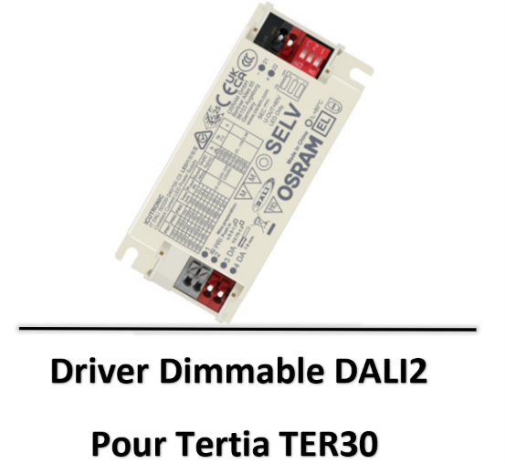 dali2