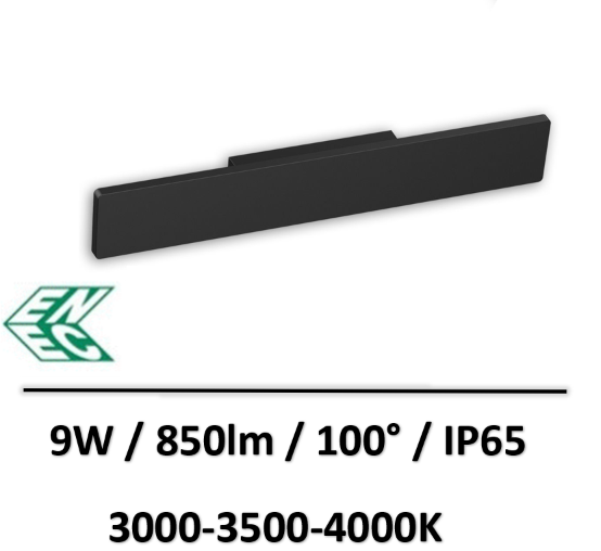 applique-enec