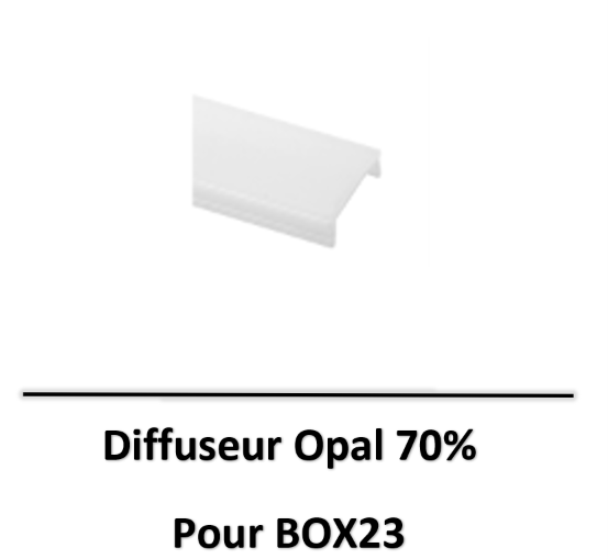 box23-beneito