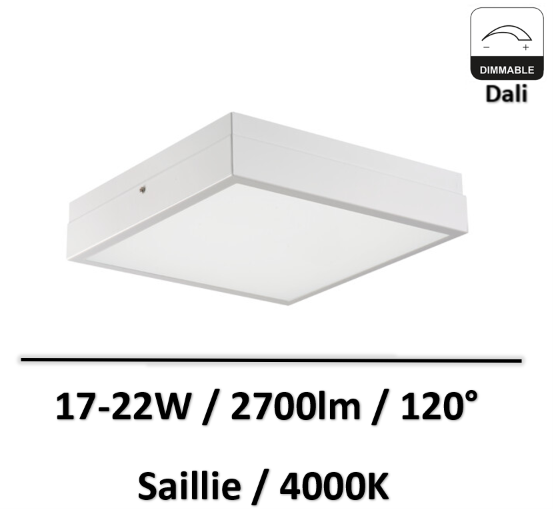 dalle-dali