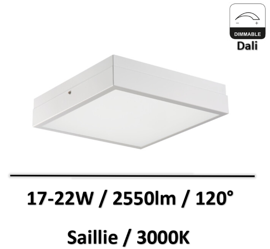 dalle-dali