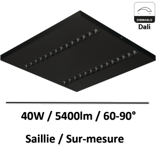 DALLE-dali