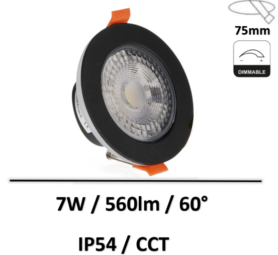 spot-CCT
