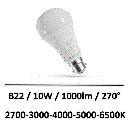 ampoule-led-B22