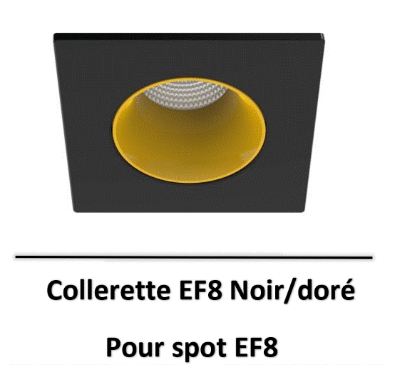 ef8-aric-spot