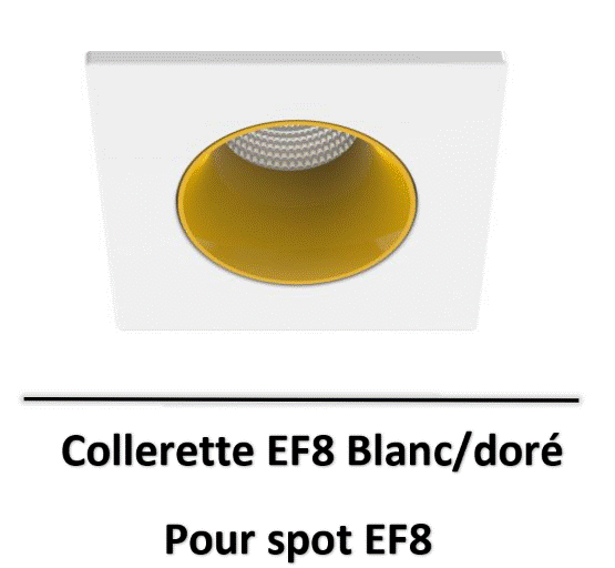 spot-EF8-aric