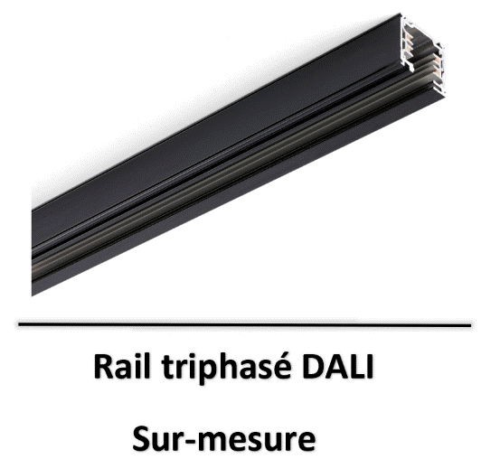 rail-dali