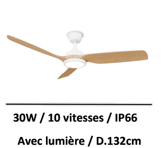 ventilateur-de-plafond-IP66
