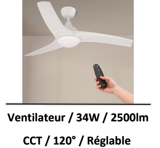 ventilateur-plafond