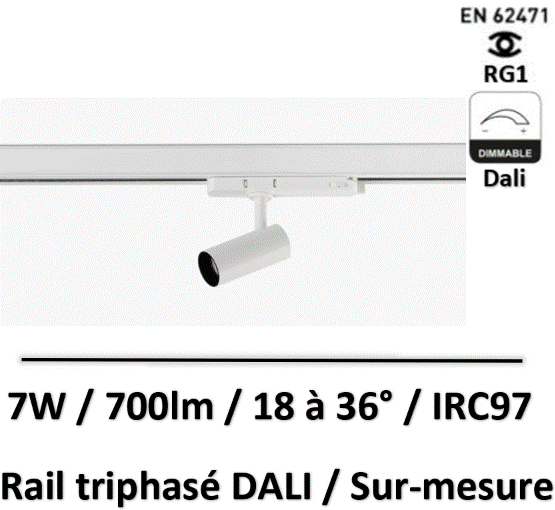 spot-sur-rail-dali