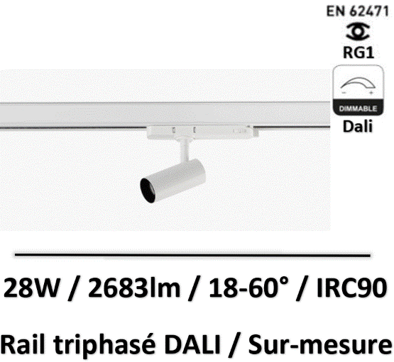 spot-sur-rail-dali