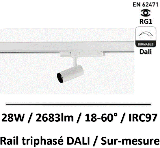 spot-rail-dali