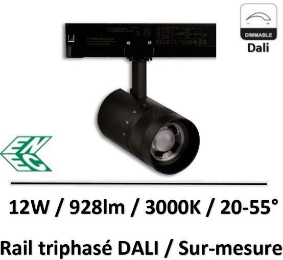 spot-rail-dali