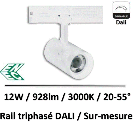 SPOT-rail-dali
