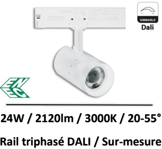 spot-rail-dali