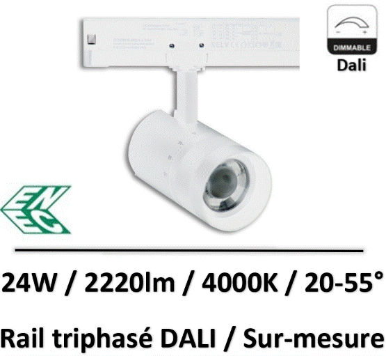 spot-sur-rail-dali