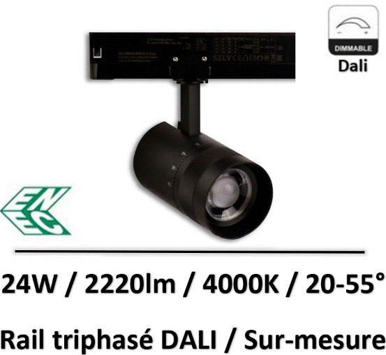 spot-rail-dali