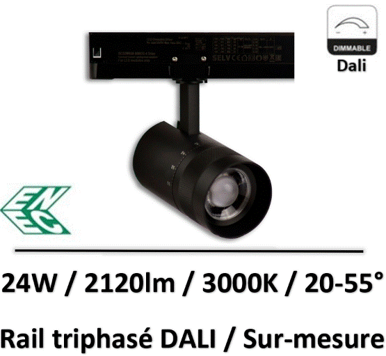 spot-rail-dali