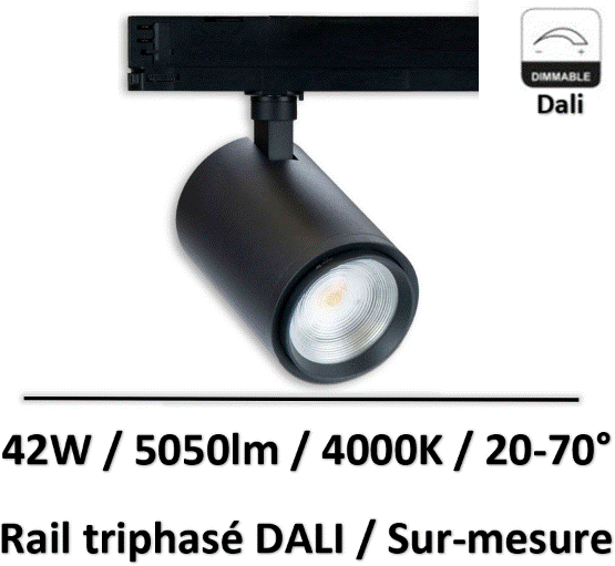 spot-rail-dali