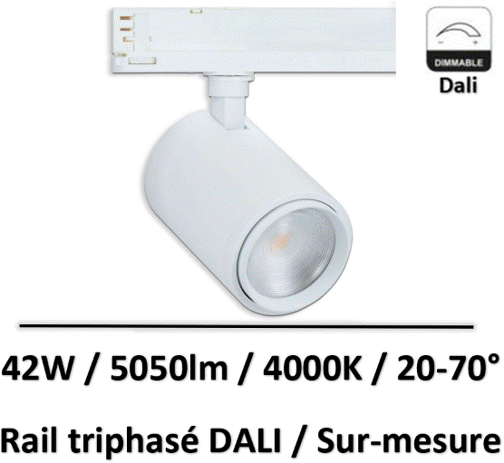 spot-led-sur-rail-dali