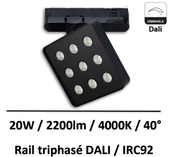 spot-rail-dali-
