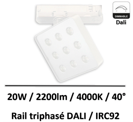 spot-rail-dali
