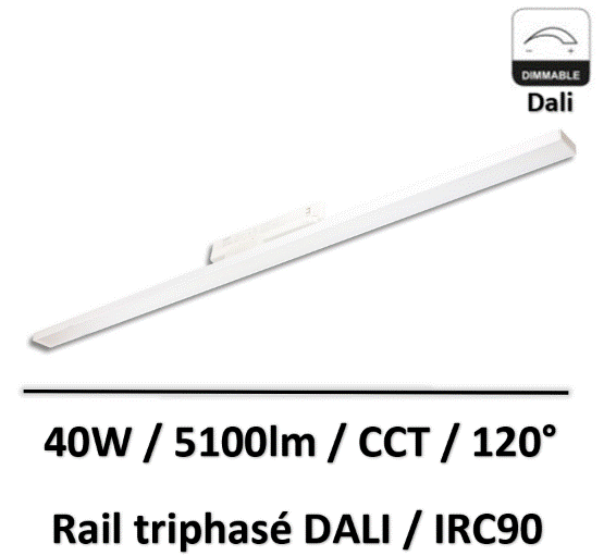 SPOT-rail-dali